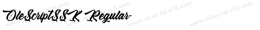 OleScriptSSK Regular字体转换